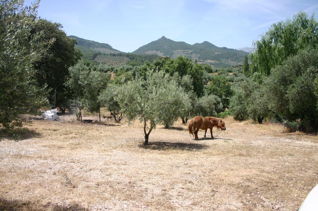 Casas Rurales La Loma Del Carrascal 오르노스 외부 사진