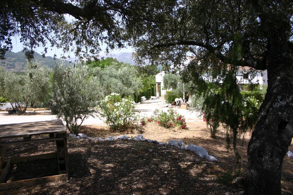 Casas Rurales La Loma Del Carrascal 오르노스 외부 사진